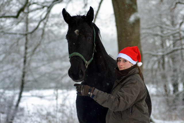 Vorweihnachtszeit in Hmelschenburg - Dezember 2012, Foto: Beate Langels, Trakehner Gestt Hmelschenburg - Beate Langels