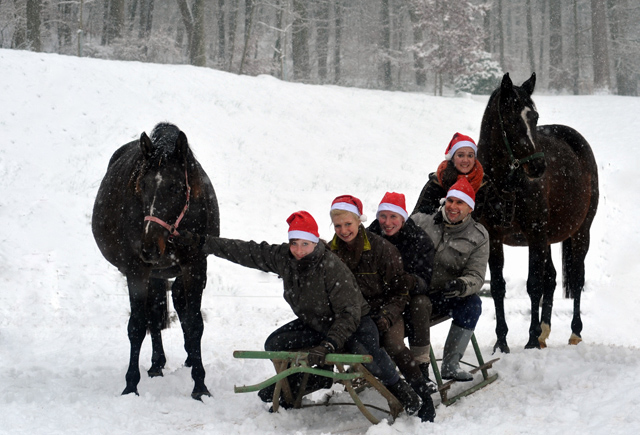 Vorweihnachtszeit in Hmelschenburg - Dezember 2012, Foto: Beate Langels, Trakehner Gestt Hmelschenburg - Beate Langels