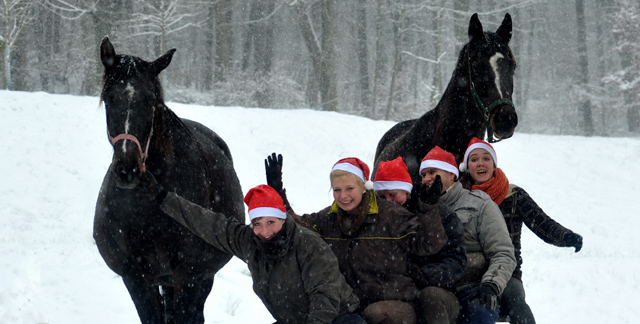 Vorweihnachtszeit in Hmelschenburg - Dezember 2012, Foto: Beate Langels, Trakehner Gestt Hmelschenburg - Beate Langels