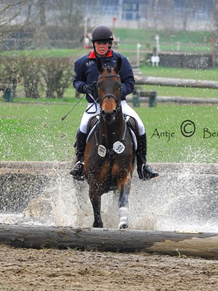 Trakehner Stute KASTELLA von Summertime u.d. Kadina v. Kostolany - Trakehner Gestt Hmelschenburg - Foto: Antje Berodt