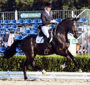 Seal von Gribaldi - Exclusiv und Peter Koch