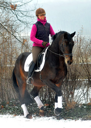 Showmaster by Kostolany/Ibikus  ridden by Johanne  -  Trakehner Gestt Hmelschenburg