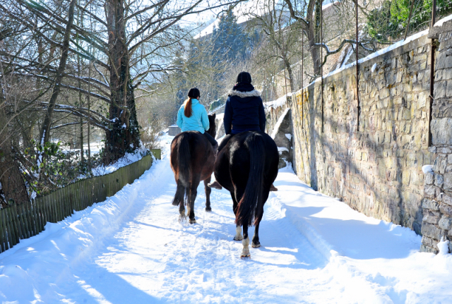 Ausritt mit Tavolara und Vittoria 13. Februar 2021 - Foto: Beate Langels - 
Trakehner Gestt Hmelschenburg