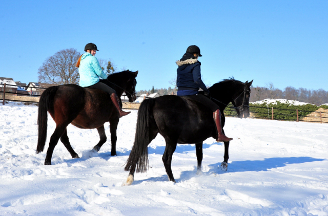 Ausritt mit Tavolara und Vittoria 13. Februar 2021 - Foto: Beate Langels - 
Trakehner Gestt Hmelschenburg