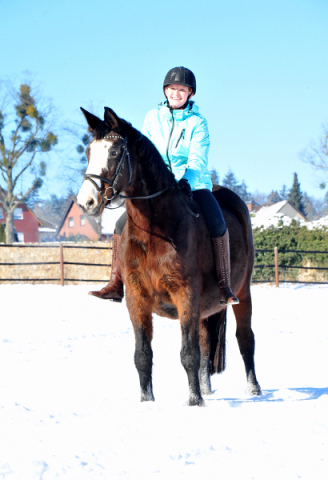 Ausritt mit Tavolara - 13. Februar 2021 - Foto: Beate Langels - 
Trakehner Gestt Hmelschenburg