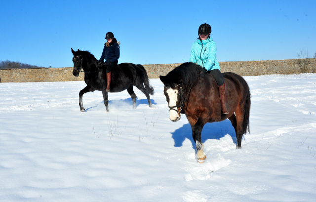 Ausritt mit Tavolara und Vittoria 13. Februar 2021 - Foto: Beate Langels - 
Trakehner Gestt Hmelschenburg