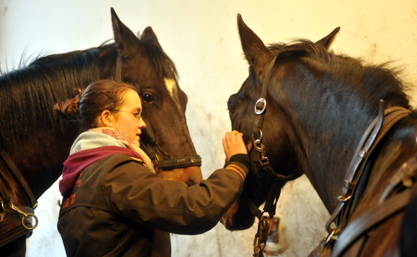 Schwalbenmrchen (5jhrig) und Schwalbenprinz (3jhrig) v. Kostolany u.d. Pr.St. Schwalbenfeder v. Summertime - gefahren von Heinrich Freiherr von Senden - Trakehner Gestt Hmelschenburg