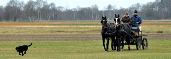 Besuch bei Heinrich Freiherr von Senden am 13.03.2012 - Foto Beate Langels - Trakehner Gestt Hmelschenburg