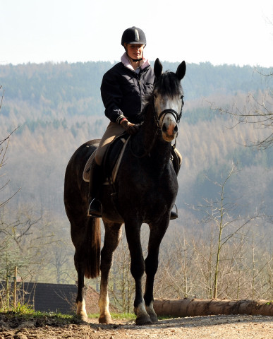 Tea for Two von Saint Cyr u.d. Teatime v. Summertime, Foto: Beate Langels - Trakehner Gestt Hmelschenburg