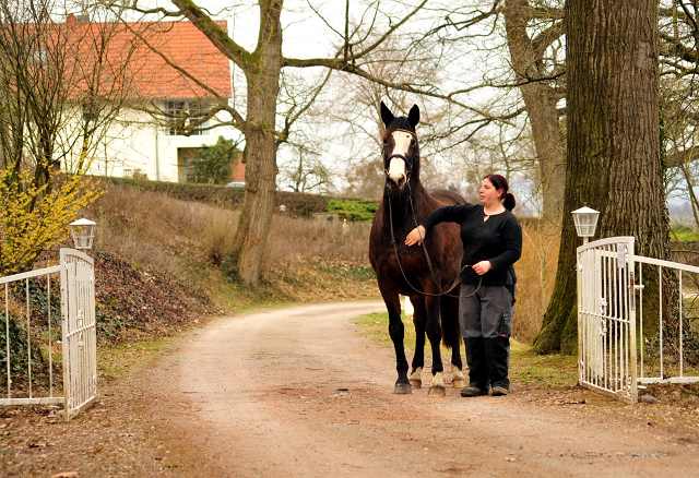 Unser Prmien- u. Staatsprmienstute TAVOLARA wird 20 Jahre - Trakehner Gestt Hmelschenburg - Foto: Beate Langels