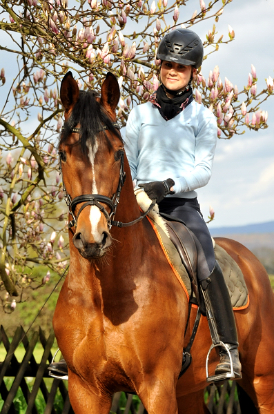 High Motion von Saint Cyr und Stephanie Leuenberger - Foto Beate Langels - Gestt Hmelschenburg