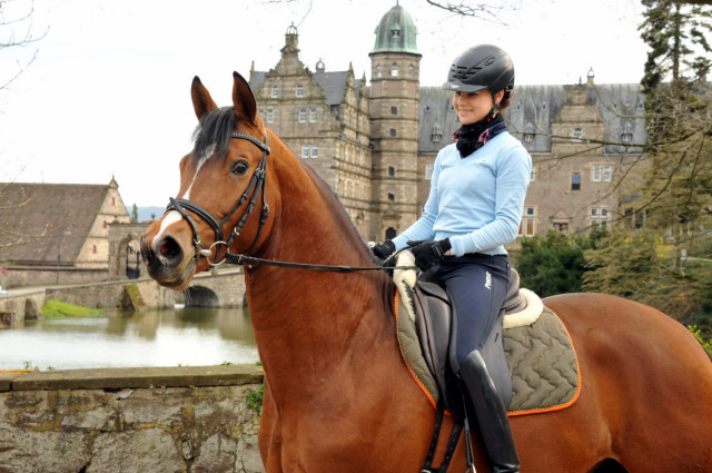 High Motion von Saint Cyr und Stephanie Leuenberger - Foto Beate Langels - Gestt Hmelschenburg