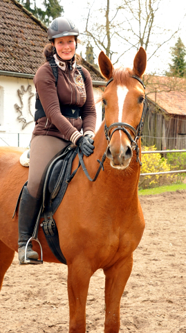 Oldenburger Be Fair von Symont u.d. Beloved v. Kostolany - Foto: Beate Langels - Trakehner Gestt Hmelschenburg