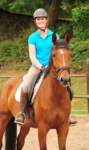 Barinja Oldenburger Stute von Oliver Twist u.d. Beloved v. Kostolany - Foto: Beate Langels - Trakehner Gestt Hmelschenburg