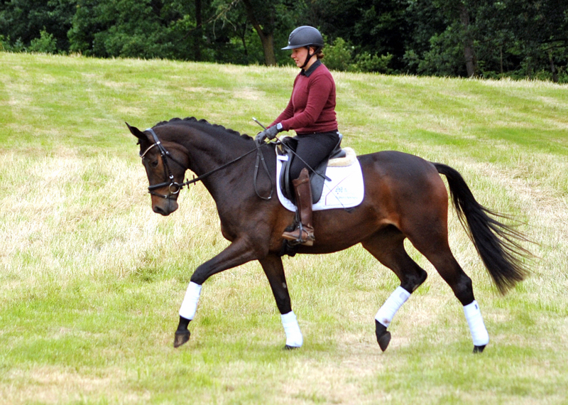 Valentine v. His Moment x High Motion, Foto Beate Langels