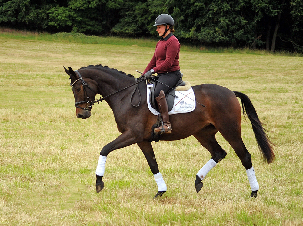 Trakehner Mare by His Moment out of Valentine by High Motion x Showmaster
 - Gestt Hmelschenburg - Beate Langels