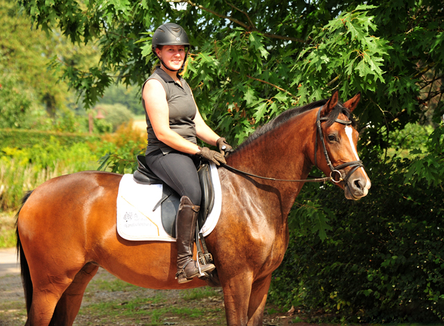 3jhrige Stute Schwalbenaura v. Kacyo u.d. Schwalbensage v. Grand Corazon - 
Trakehner Gestt Hmelschenburg - Foto: Beate Langels