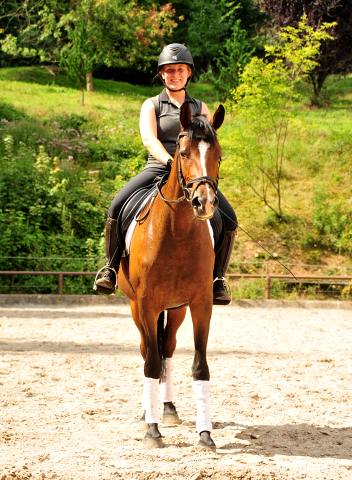 3jhrige Stute Schwalbenaura v. Kacyo u.d. Schwalbensage v. Grand Corazon - 
Trakehner Gestt Hmelschenburg - Foto: Beate Langels