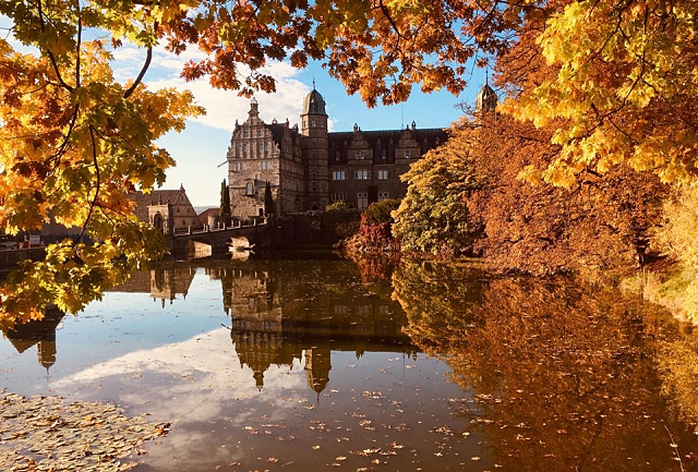 Schloss Hmelschenburg im Oktober - Trakehner Gestt Hmelschenburg - Beate Langels