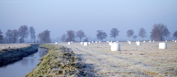 Fototermin in Schplitz  - Foto: Beate Langels - Trakehner Gestt Hmelschenburg