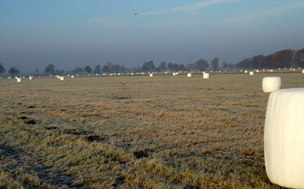 Fototermin in Schplitz  - Foto: Beate Langels - Trakehner Gestt Hmelschenburg