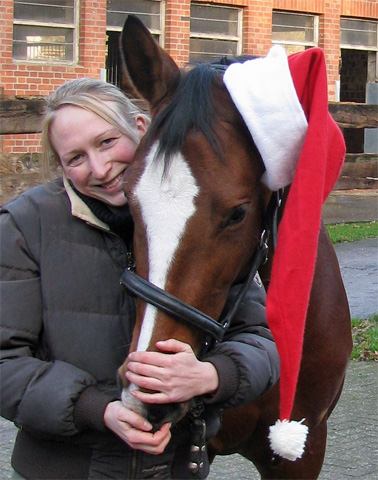 Klassic Blue von Singolo u.d. Pr. u. StPrSt. Klassic v. Freudenfest u.d. Elitestute Kassuben v. Enrico Caruso - Gestt Hmelschenburg - Beate Langels