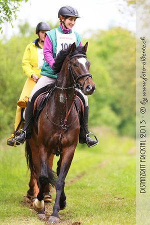 Fridolyn v. Freudenfest u.d. Beloved v. Kostolany - Zchter: Beate Langels, Gestt Hmelschenburg