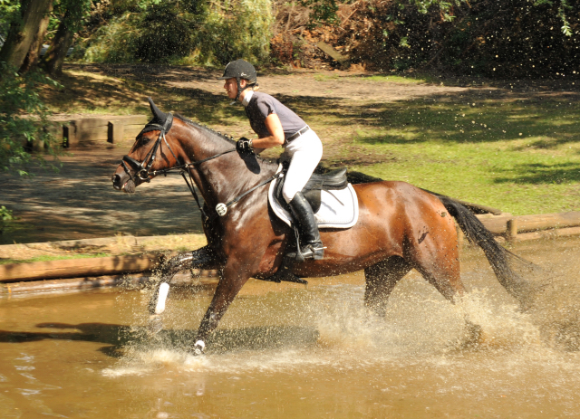 Galila von Exclusiv - Maestro, Prmienanwrterin des Trakehner Verbandes 2012, Foto: Beate Langels