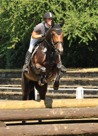 Galila von Exclusiv - Maestro, Prmienanwrterin des Trakehner Verbandes 2012, Foto: Beate Langels