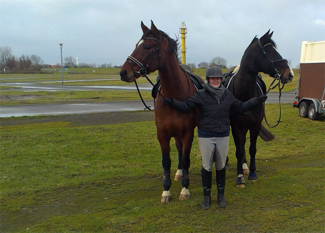 kiss of Dragon (ex Knig Otto) v. Kostolany - Sandro im Herbst 2013