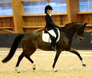 Grand Prix erfolgreich: Starlet von Alter Fritz x Kostolany