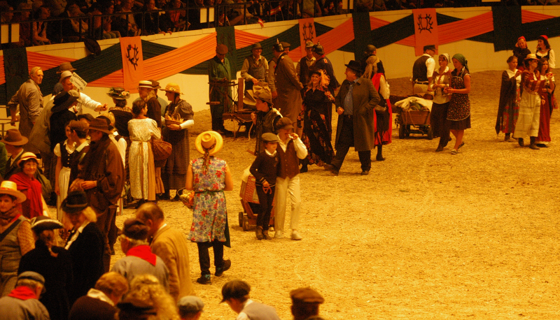 Wehlauer Pferdemarkt - Foto: Beate Langels, Trakehner Gestt Hmelschenburg