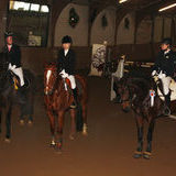 Kosimo von Shavalou geritten von Greta Luise Menke