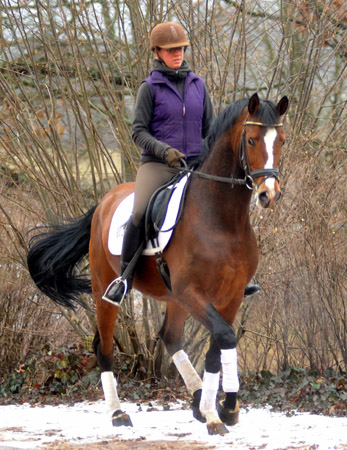 Freudenfest by Tolstoi -x Amadeus - ridden by Johanne - Trakehner Gestt Hmelschenburg