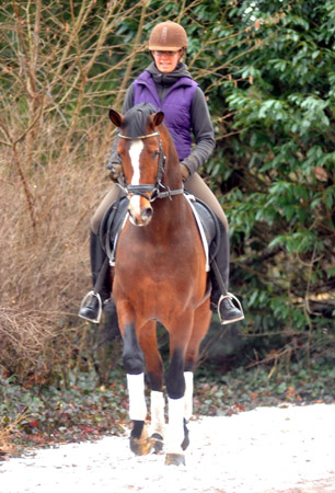 Freudenfest by Tolstoi -x Amadeus -  ridden by Praktikantin Johanne - Trakehner Gestt Hmelschenburg