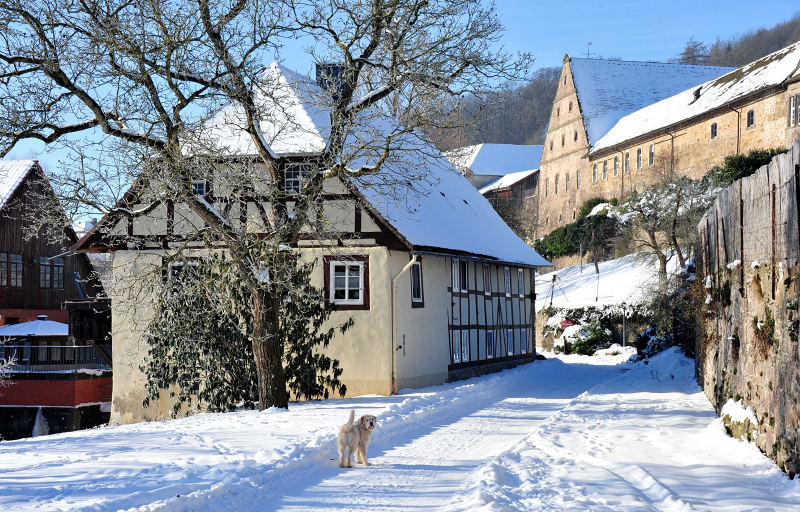 Das Emmerthal bei Hmelschenburg in klirrender Klte - 14. Februar 2021 - Foto: Beate Langels - 
Trakehner Gestt Hmelschenburg