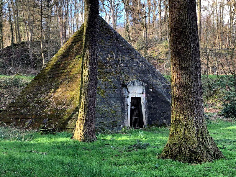 Frhling in Hmelschenburg - Gestt Hmelschenburg Beate Langels - Foto: Beate Langels