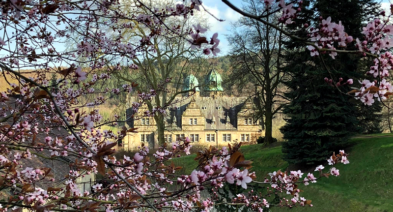 Frhling in Hmelschenburg - Gestt Hmelschenburg Beate Langels - Foto: Beate Langels