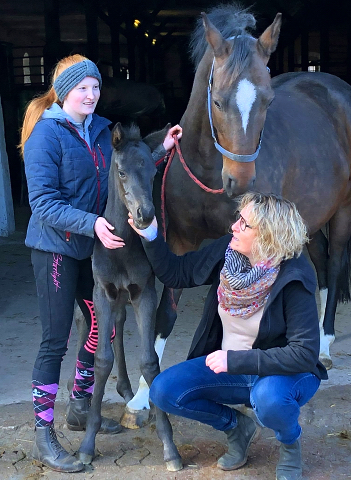 5 Tage alt: Stutfohlen von San Amour u.d. Schwalbendiva v. Totilas - 14. Mrz 2021 - Foto: Beate Langels - 
Trakehner Gestt Hmelschenburg