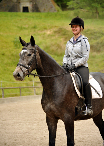 Tea and Sugar von Exclusiv - Foto: Beate Langels, Trakehner Gestt Hmelschenburg