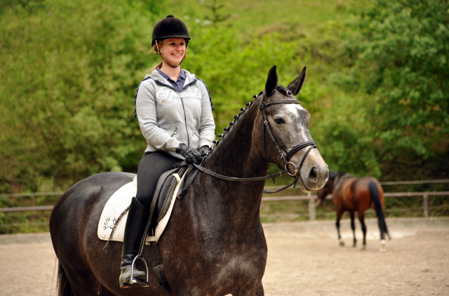 Tea and Sugar von Exclusiv - Foto: Beate Langels, Trakehner Gestt Hmelschenburg