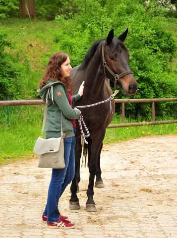 Schwalbentraum - Trakehner Stute Schwalbentraum von Helium u.d. Schwalbensage v. Grand Corazn
 - Trakehner Gestt Hmelschenburg - Beate Langels