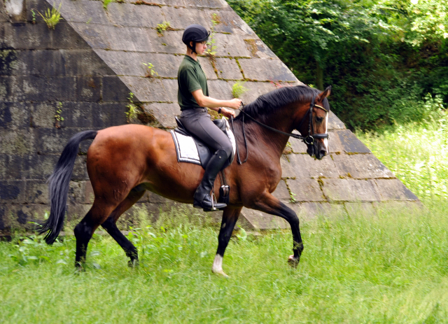 Johann und Freudenfest - Gestüt Hämelschenburg - Foto: Beate Langels -
Trakehner Gestüt Hämelschenburg
