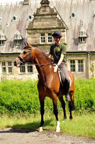Johann und Freudenfest - Gestüt Hämelschenburg - Foto: Beate Langels -
Trakehner Gestüt Hämelschenburg