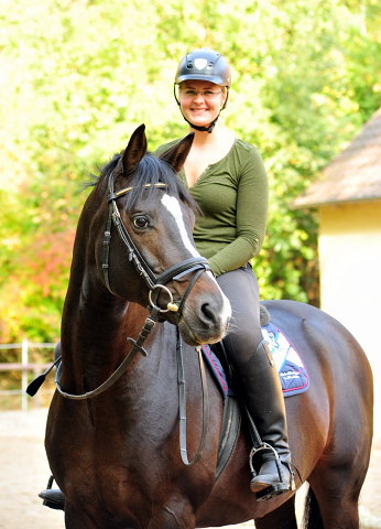 Saint Cyr v. Kostolany u.d. Elitestute Schwalbenspiel v. Exclusiv  - Foto: Beate Langels -  
Trakehner Gestt Hmelschenburg