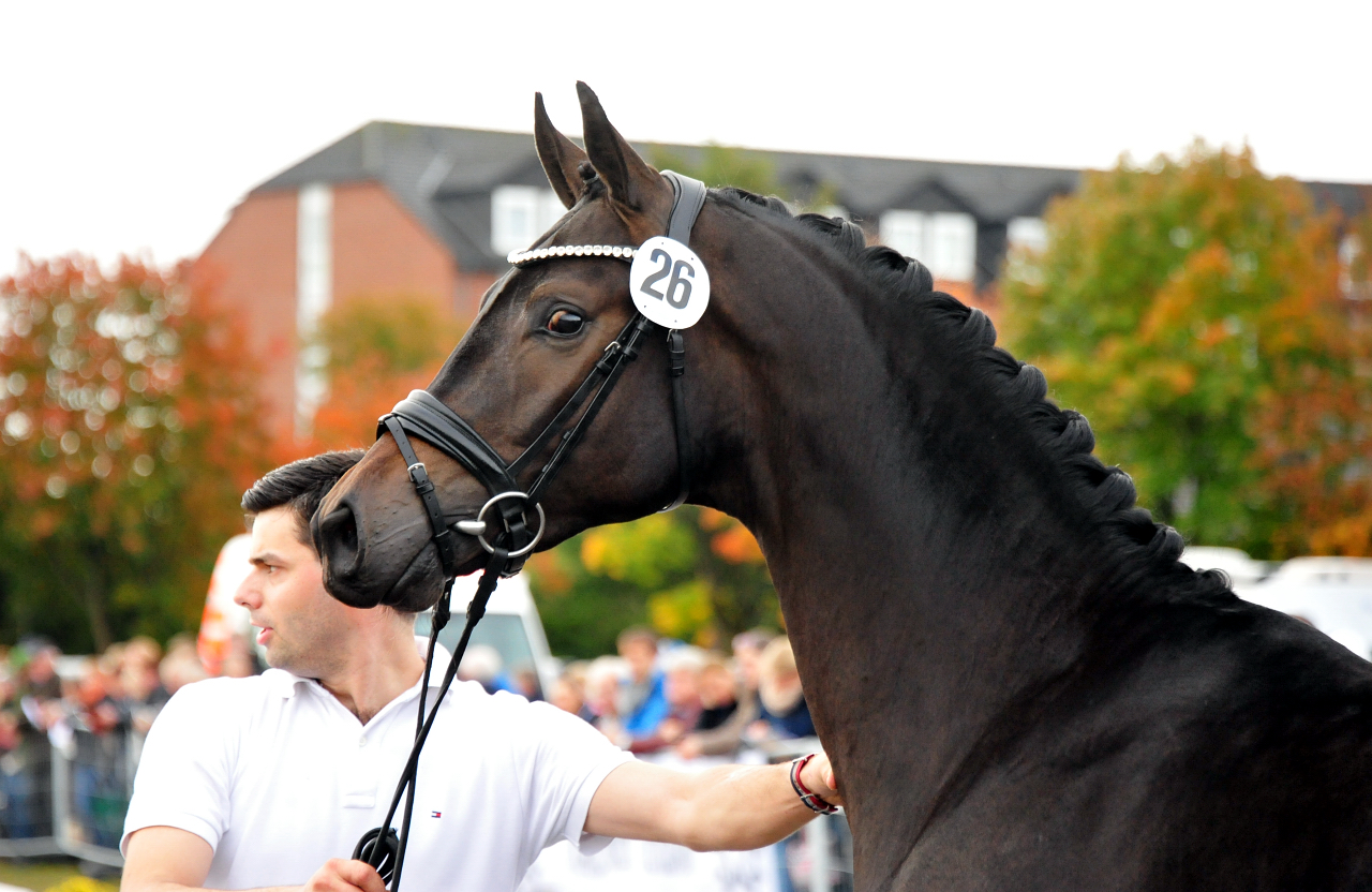 Impact von Millenium u.d. Pr.St. Impatie v. Vivus, Foto: Beate Langels