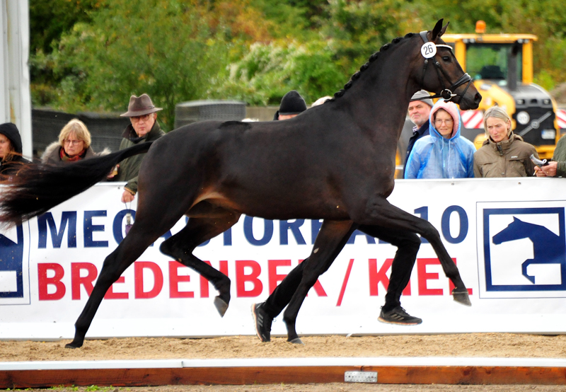 Impact von Millenium u.d. Pr.St. Impatie v. Vivus, Foto: Beate Langels