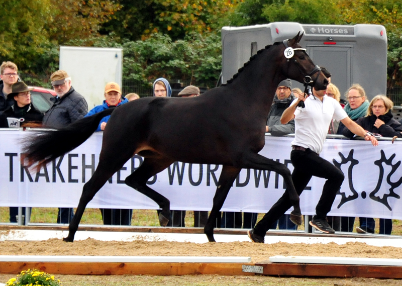 Impact von Millenium u.d. Pr.St. Impatie v. Vivus, Foto: Beate Langels