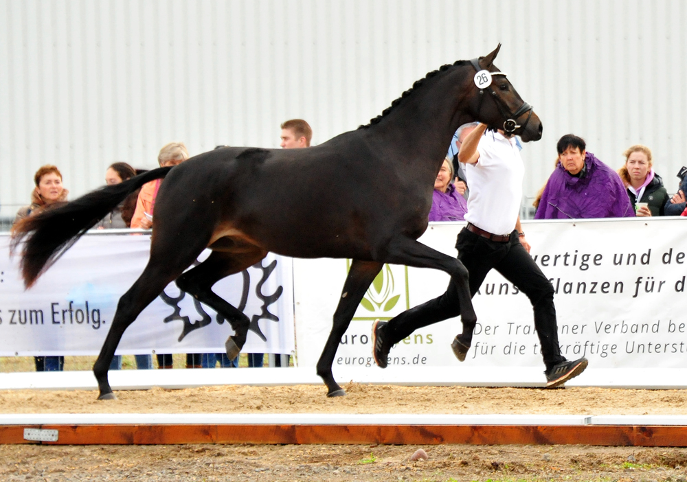 Impact von Millenium u.d. Pr.St. Impatie v. Vivus, Foto: Beate Langels