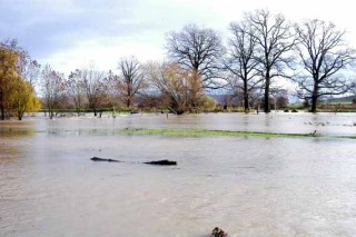 Hochwasser in Hmelschenburg im November 2010, Gestt Hmelschenburg, Foto: Beate Langels